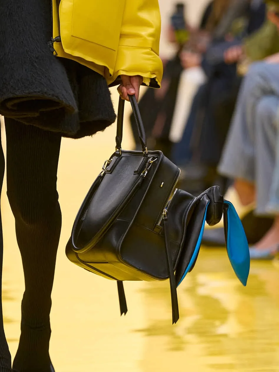 Loewe, осень-зима 2026