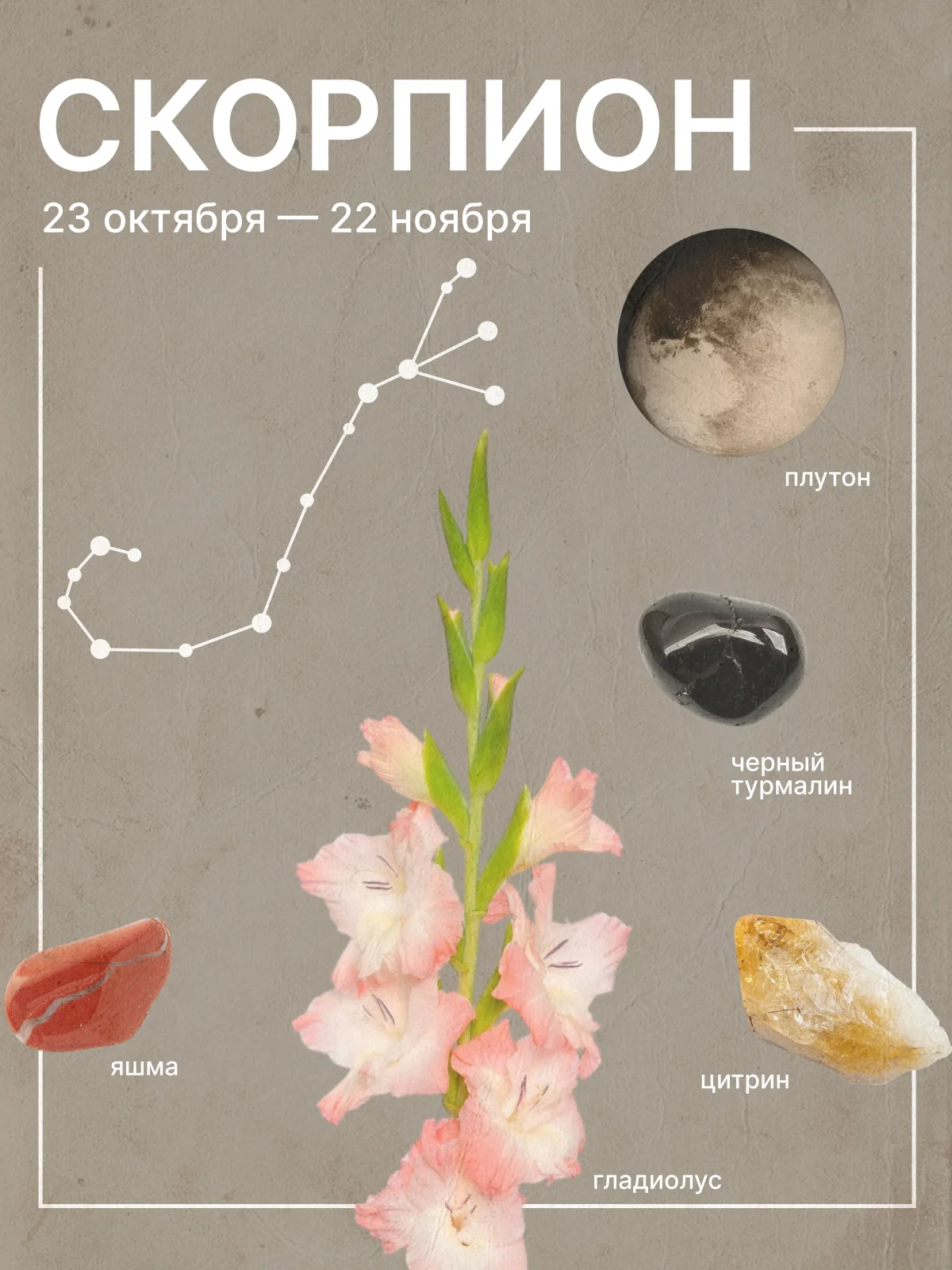 гороскоп на май 2026 для скорпионов