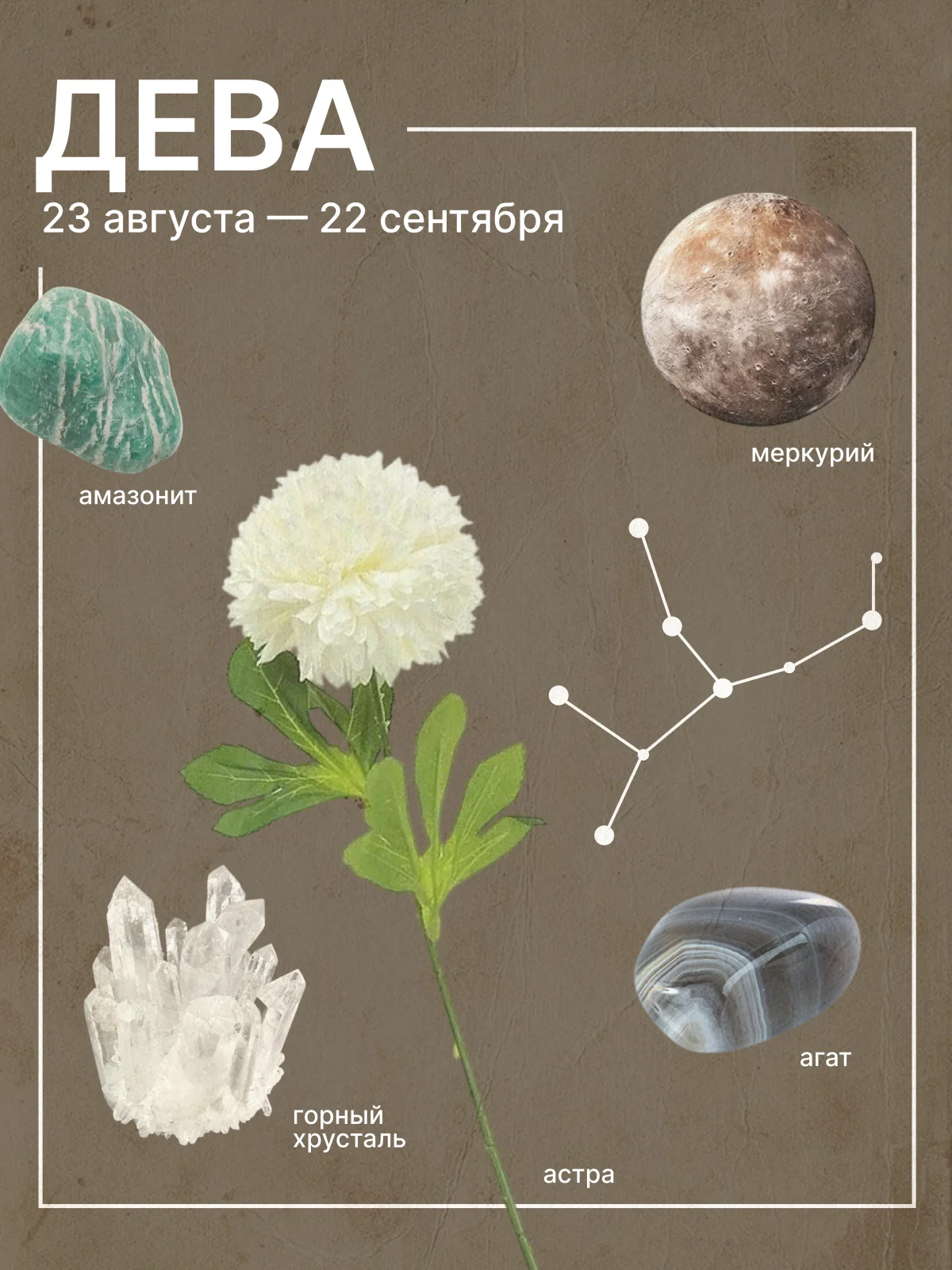 гороскоп на ноябрь 2026 для дев