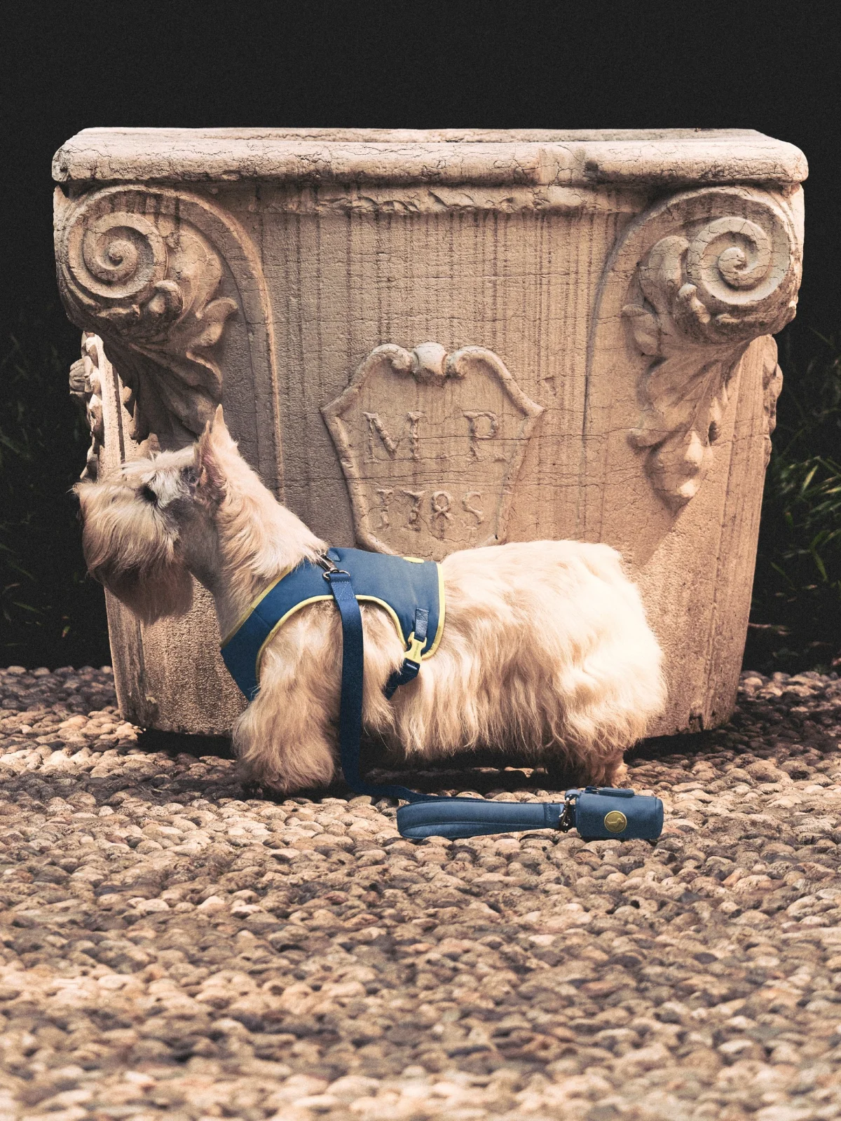 giorgio armani poldo dog couture новая коллекция коллаборация одежда аксессуары для животных питомцев одежда для собак