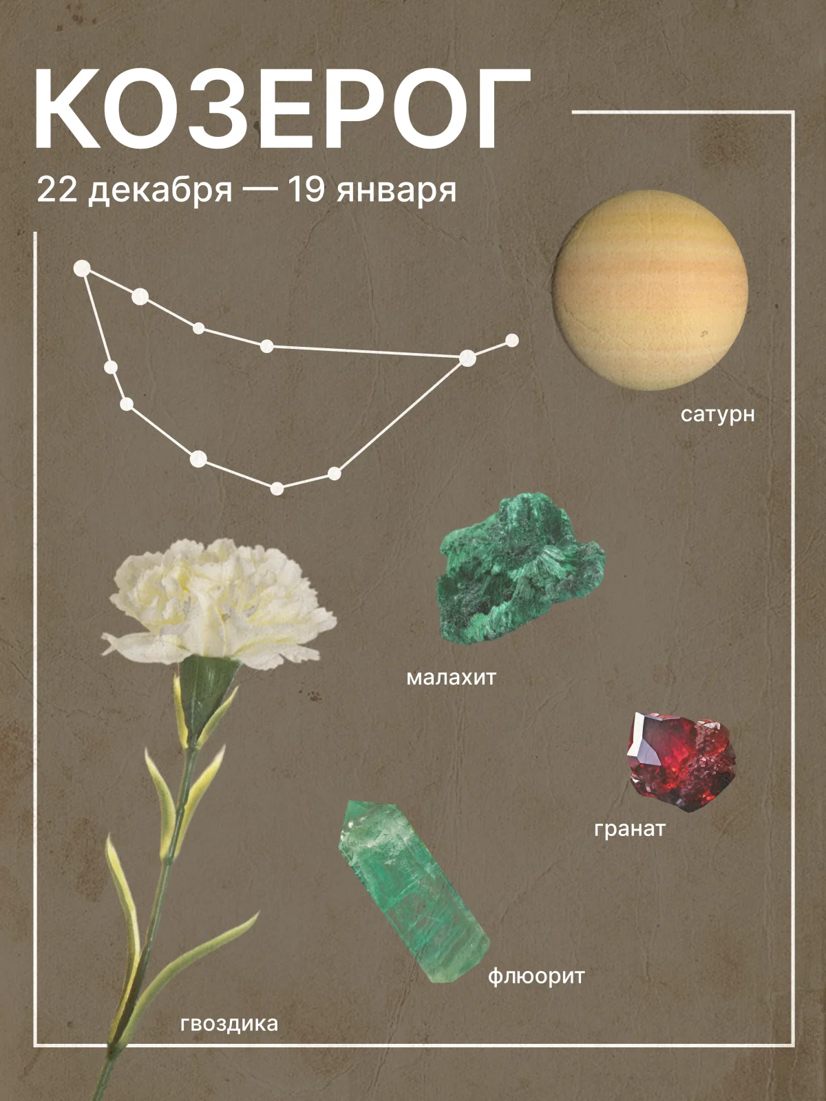 гороскоп на ноябрь 2026 для козерогов