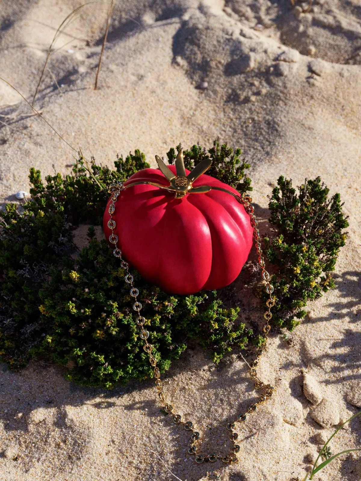 Loewe Tomato bag