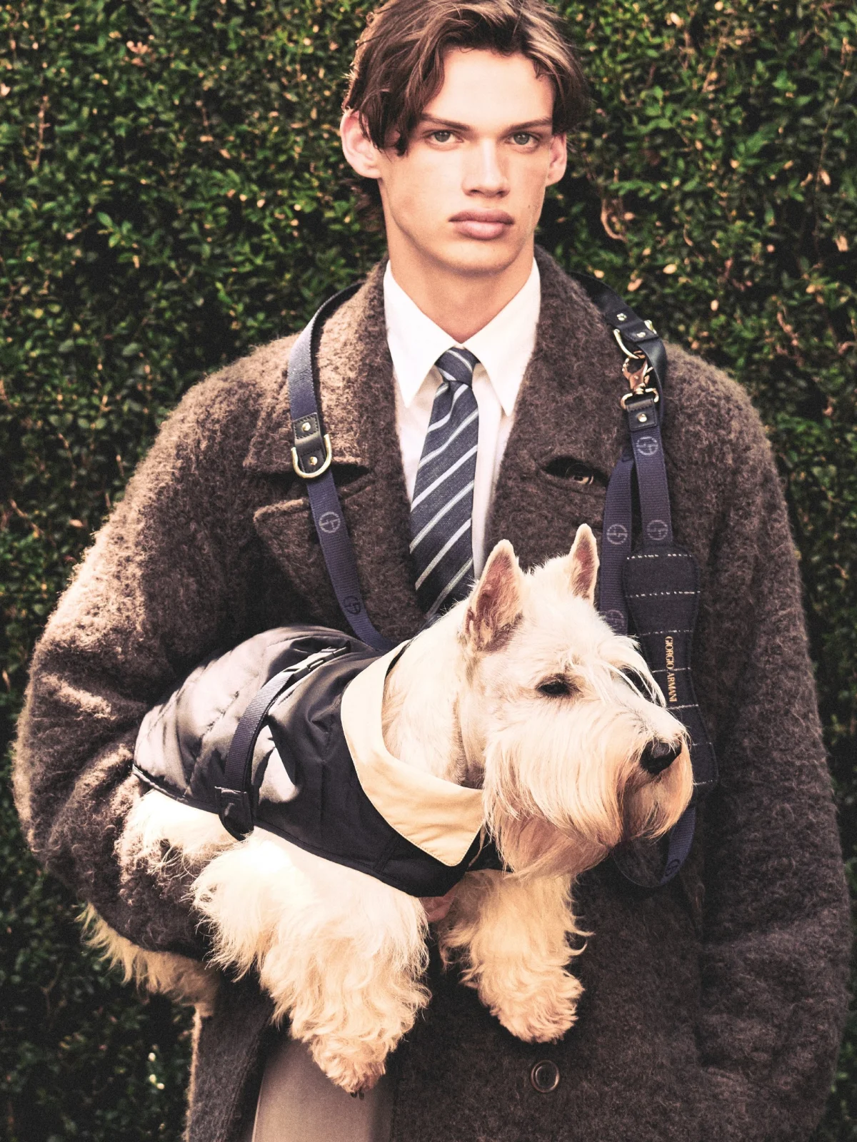 giorgio armani poldo dog couture новая коллекция коллаборация одежда аксессуары для животных питомцев одежда для собак