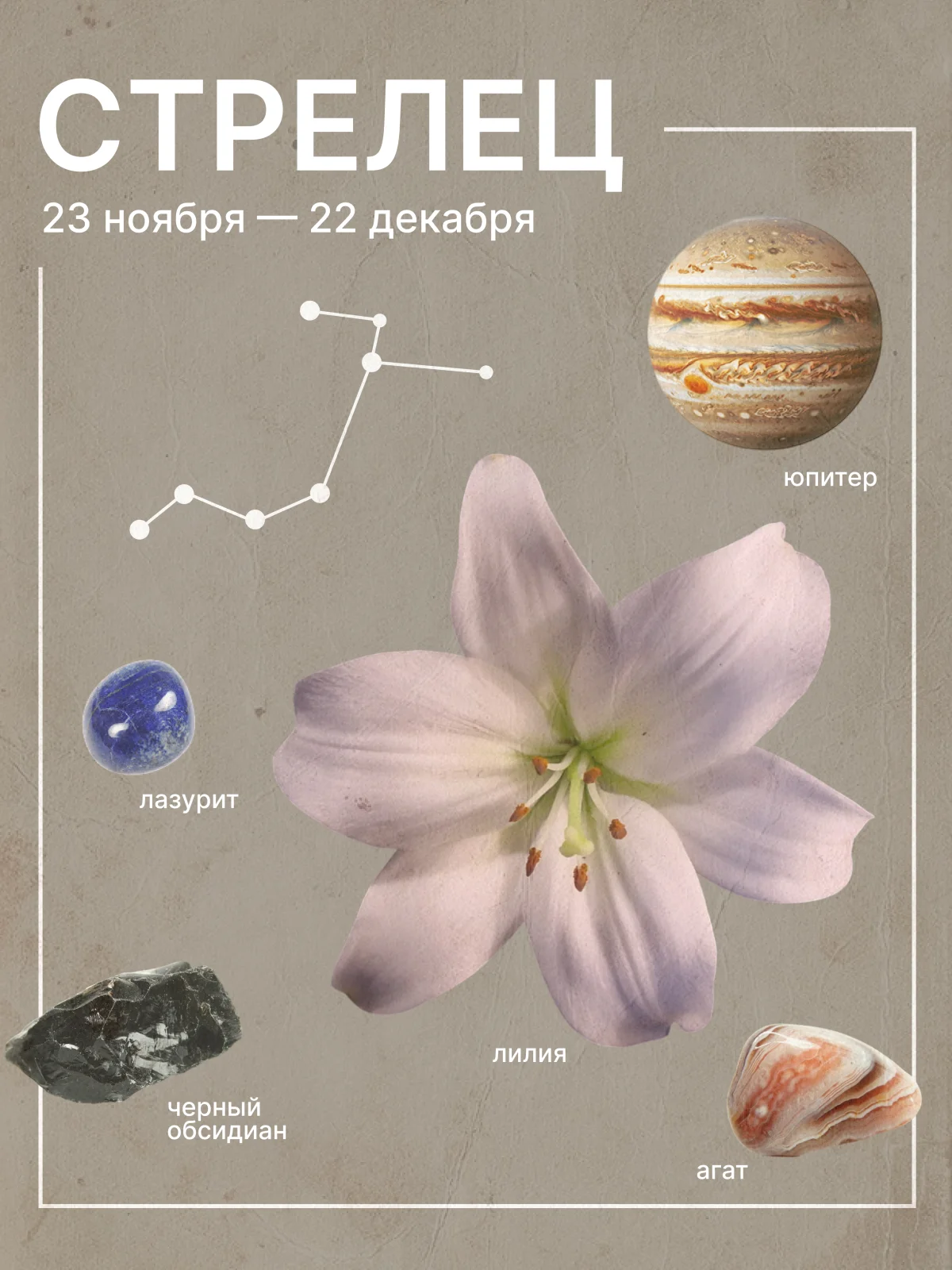 гороскоп на май 2026 для стрельцов