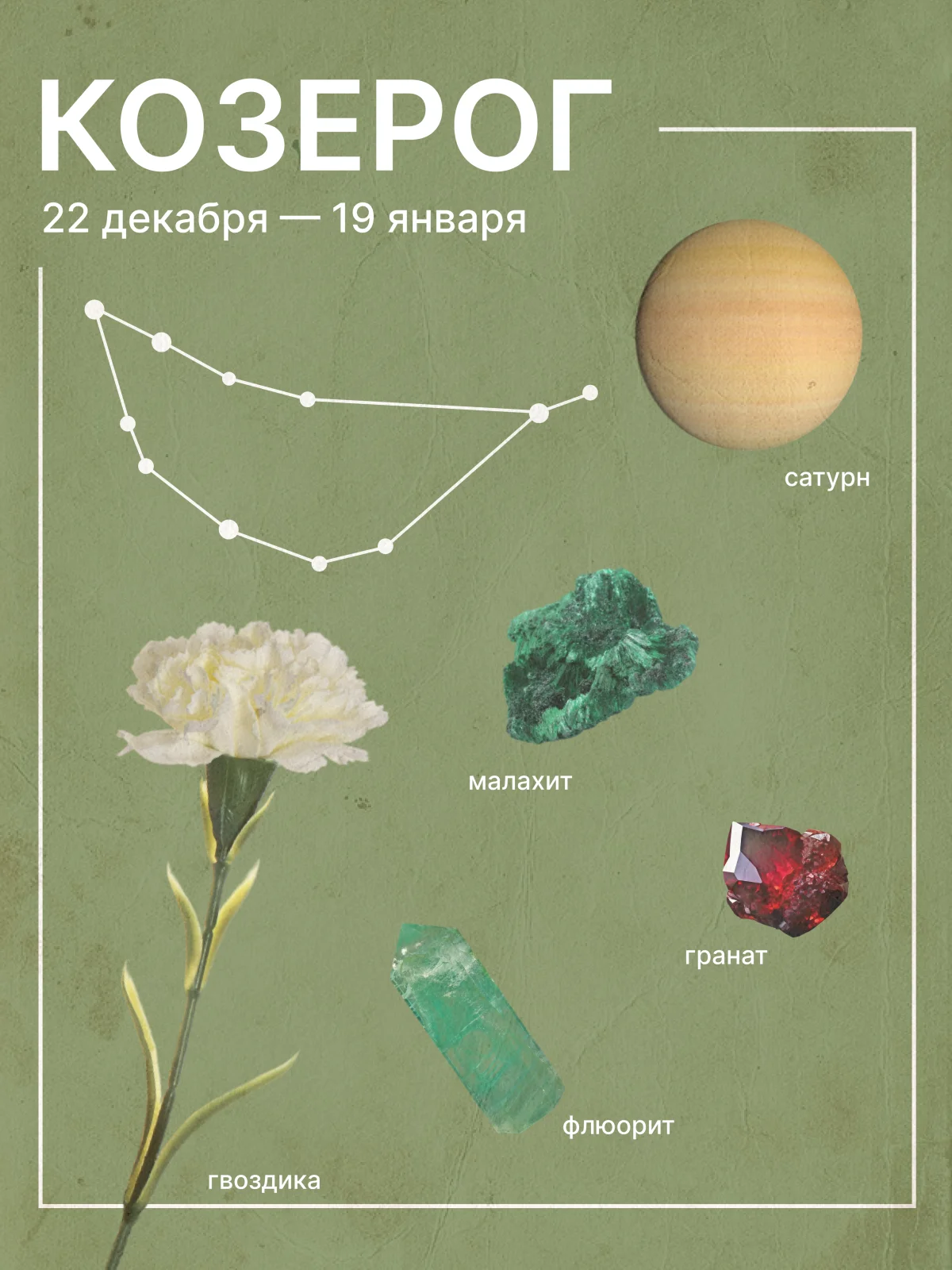 гороскоп на август 2026 для козерогов