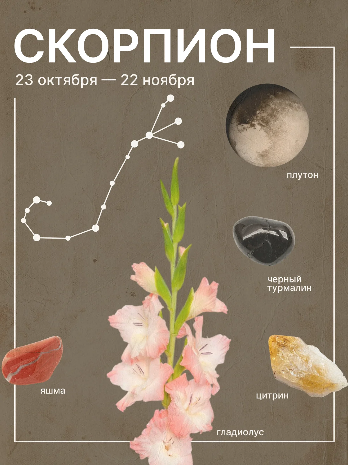 гороскоп на ноябрь 2026 для скорпионов