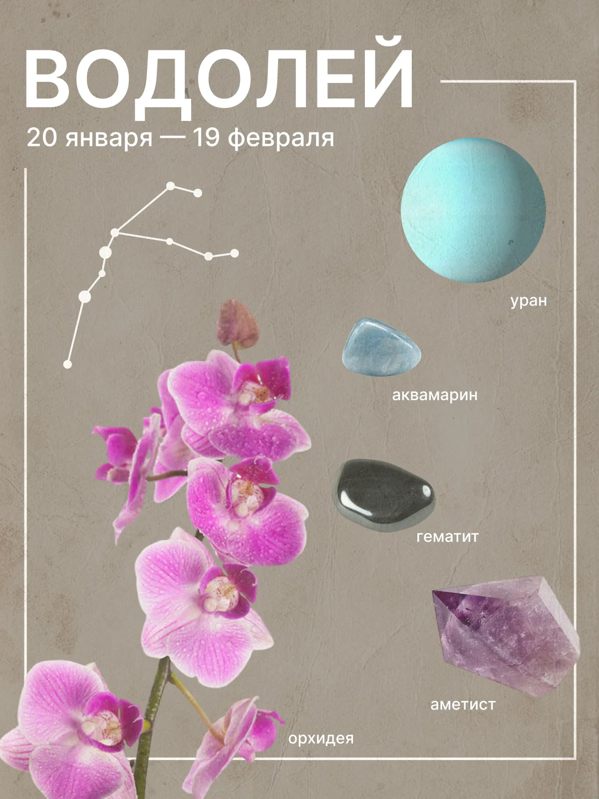 гороскоп на май 2026 для водолеев