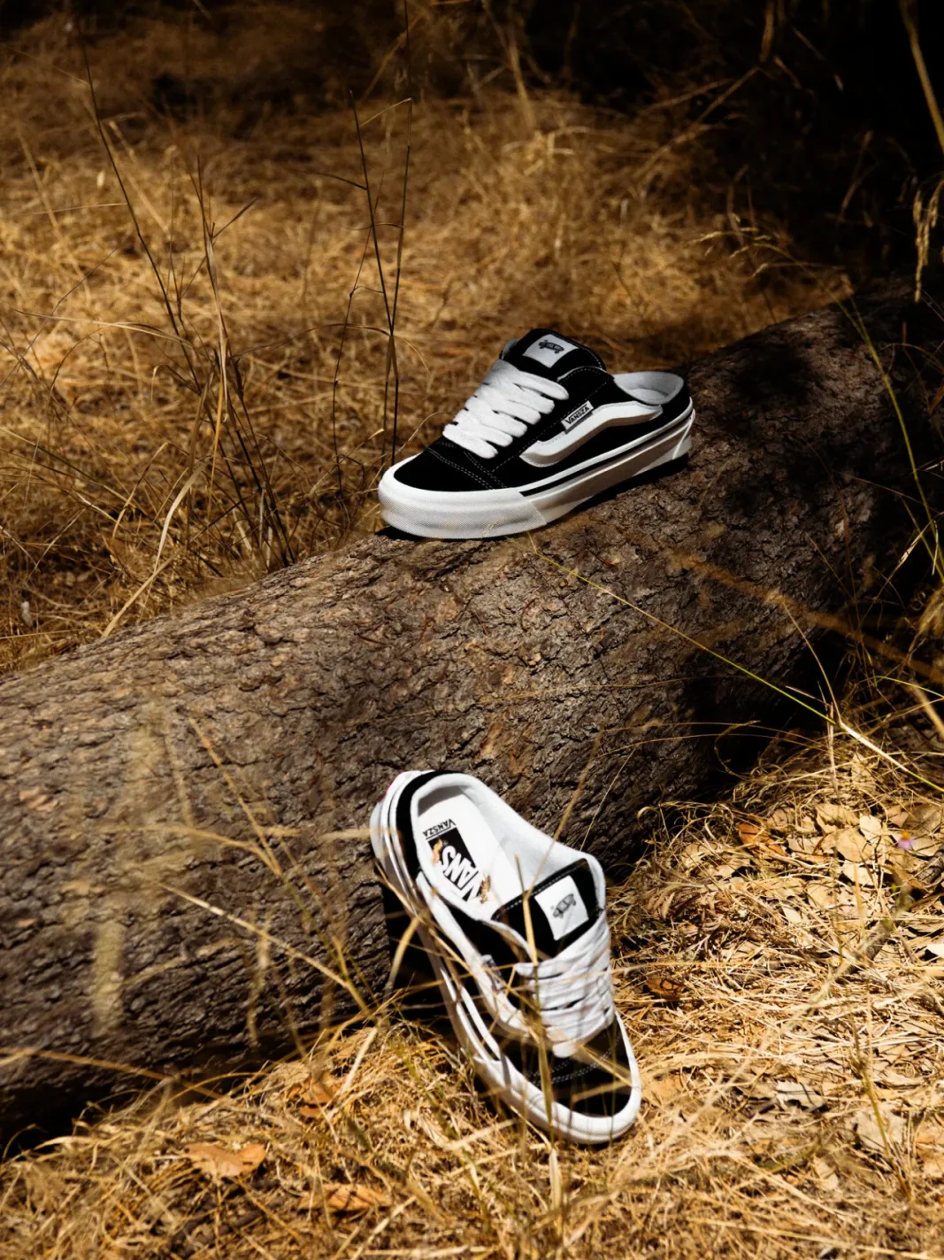 Vans, ванс, SZA, сиза, коллаборация, кеды венс, Vansza Knu Skool Mule, Vansza Authentic Kickdown, модные кеды 2026, модная обувь