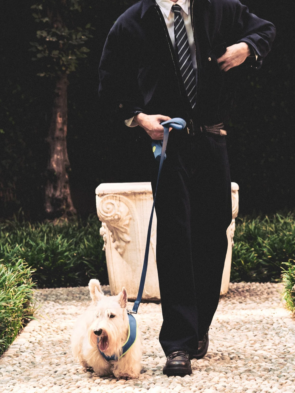 giorgio armani poldo dog couture новая коллекция коллаборация одежда аксессуары для животных питомцев одежда для собак