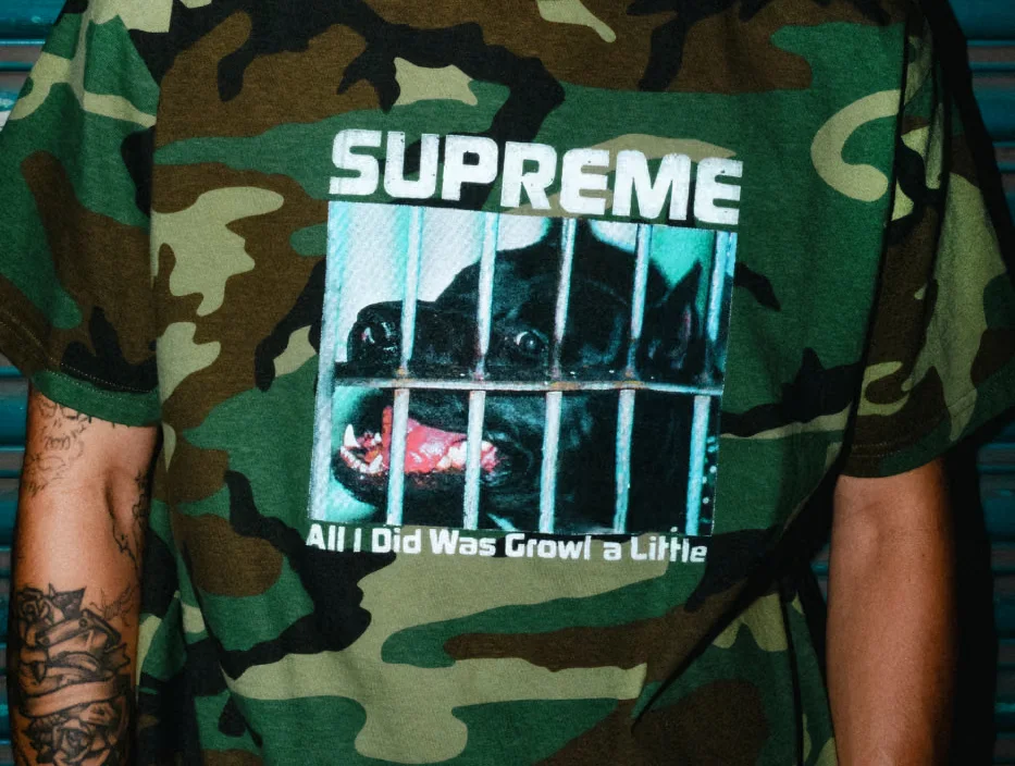 Графические футболки и принт с Пэрис Хилтон: Supreme показал новую коллекцию